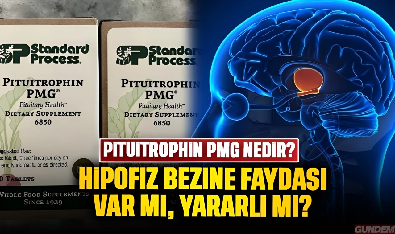 Pituitrophin PMG nedir, Pituitrophin PMG ne işe yarar: Hipofiz bezine faydaları neler?