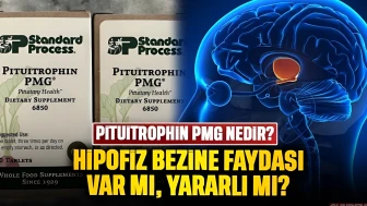 Pituitrophin PMG nedir, Pituitrophin PMG ne işe yarar: Hipofiz bezine faydaları neler?